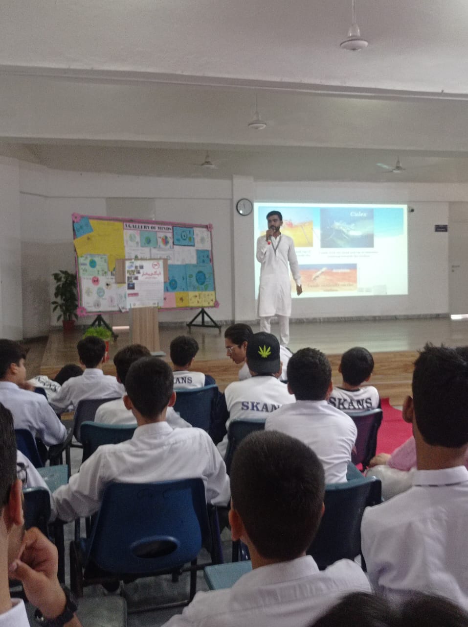 Dengue Awareness Campaign